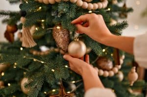 Lee más sobre el artículo Llega la Navidad a tu hogar